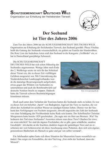 Der Seehund ist Tier des Jahres 2006 - Schutzgemeinschaft ...