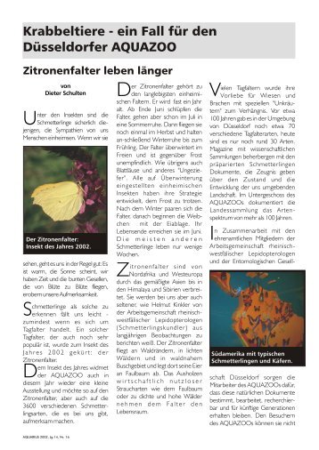 Der ganze Artikel (PDF-Datei 219 KB)