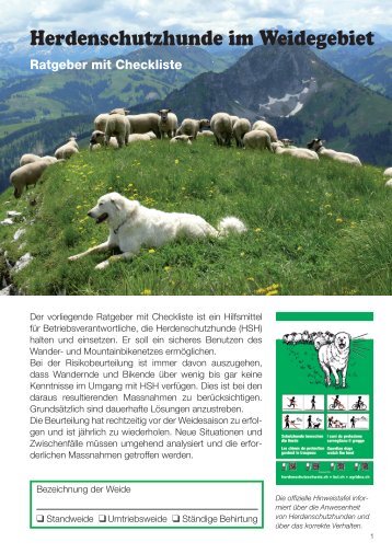 Herdenschutzhunde im Weidegebiet - Schweizer Wanderwege