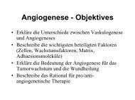 Angiogenese - Objektives