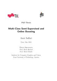 Multi-Class Semi-Supervised and Online Boosting Amir ... - CiteSeerX