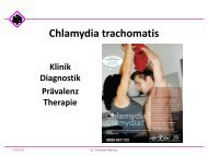 Chlamydia trachomatis - Labor Koblenz