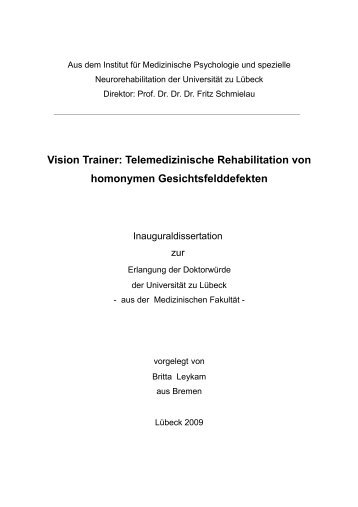 Vision Trainer: Telemedizinische Rehabilitation von homonymen ...