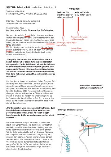 Arbeitsblätter "Stoßdämpfer/Specht" als PDF-Datei - Der Lehrerfreund