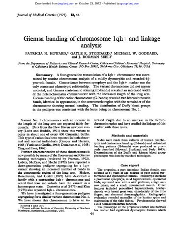 Giemsa banding of chromosome qh+ and linkage analysis