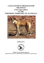 A Management program for the Dingo (Canis lupus dingo) in the ...