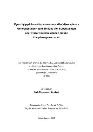 DissertationAnettSchubert.pdf - KLUEDO - Universität Kaiserslautern