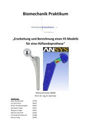 Biomechanik Praktikum