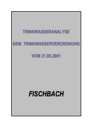 FISCHBACH - Alsfeld