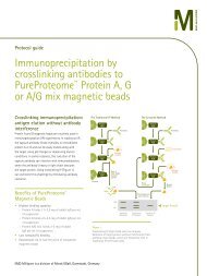 PureProteome Crosslink Antibodies - Millipore