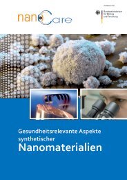 Nanomaterialien - Nanopartikel.info