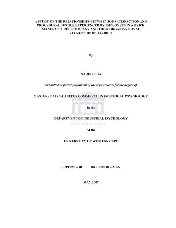 A study of the relationships between job satisfaction and procedural ...