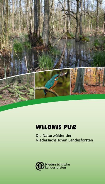 Wildnis pur - Die Naturwälder der Niedersächsischen Landesforsten