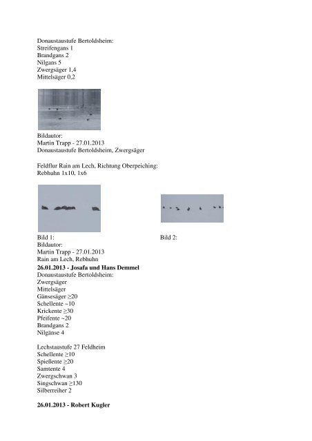 Aktuelle Beobachtungen 1. Quartal 2013