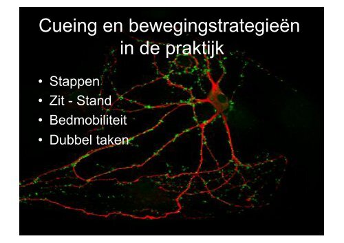 Praktische toepassingen voor het verbeteren van de ... - Gymna