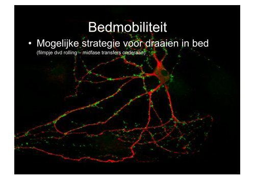 Praktische toepassingen voor het verbeteren van de ... - Gymna