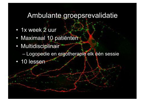 Praktische toepassingen voor het verbeteren van de ... - Gymna