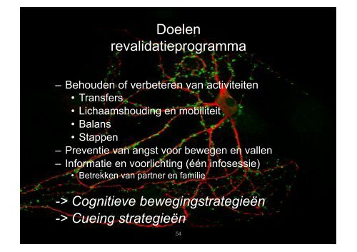 Praktische toepassingen voor het verbeteren van de ... - Gymna