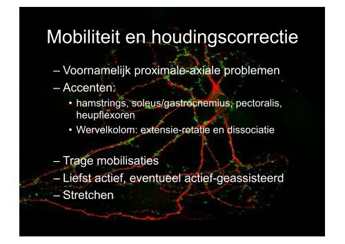 Praktische toepassingen voor het verbeteren van de ... - Gymna