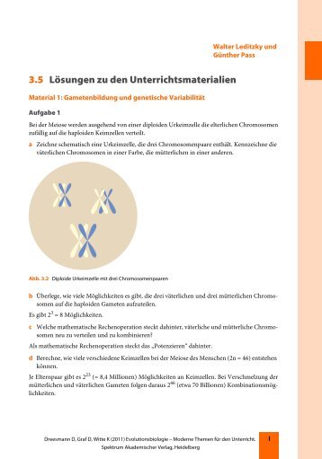 3.5 Lösungen zu den Unterrichtsmaterialien - Extra Materials