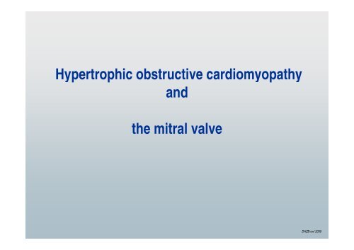 Mitral Valve Repair in Children