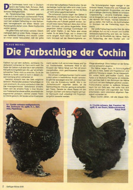 Die Farbschläge der Cochin NEU - Brahmazucht.eu