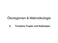 Ökoregionen & Makroökologie