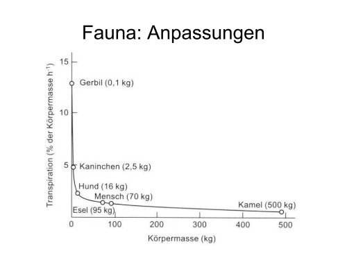 Ökoregionen & Makroökologie