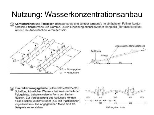 Ökoregionen & Makroökologie