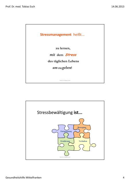 Gesund im Stress -- Stressregulation B i F k d Burn-out im Fokus der ...