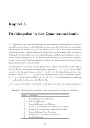 Kapitel 5 Drehimpulse in der Quantenmechanik