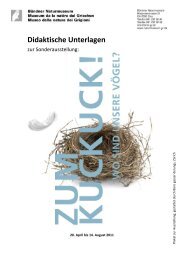 Zum Kuckuck - wo sind unsere Vögel? (2011) - Bündner ...