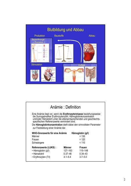 Anämie : Symptom oder Krankheit