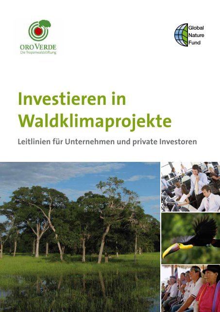 Investieren in Waldklimaprojekte - Global Nature Fund