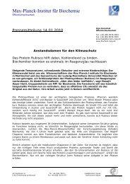 Pressemitteilung (PDF) - Max-Planck-Institut für Biochemie