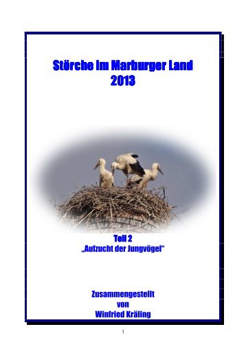 (Störche_2013_Teil 2) - Marburg-Impressionen.de