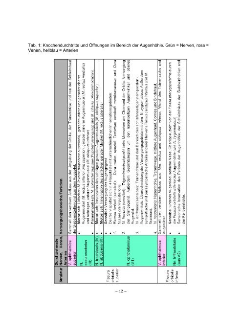 DYSFUNKTIONEN DES VISUELLEN SYSTEMS: