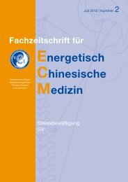 Energetisch Chinesische Medizin - APM Radloff