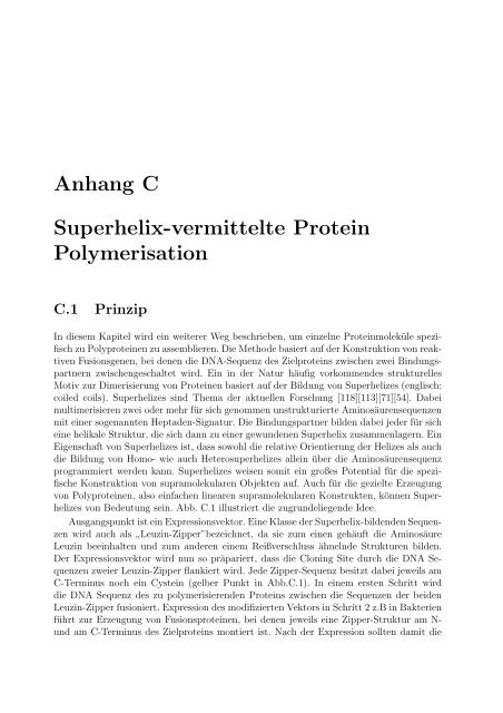 Mechanische Anisotropie von Proteinen in ...
