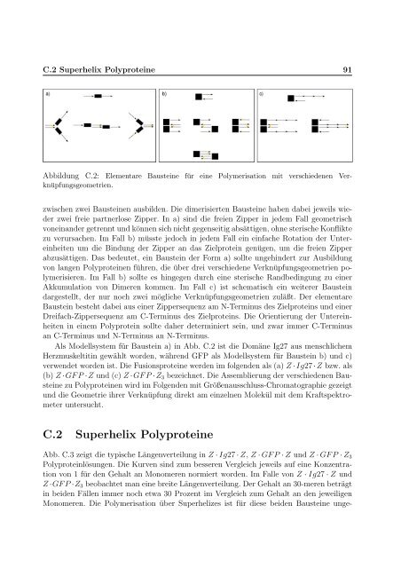 Mechanische Anisotropie von Proteinen in ...