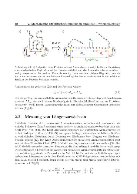 Mechanische Anisotropie von Proteinen in ...