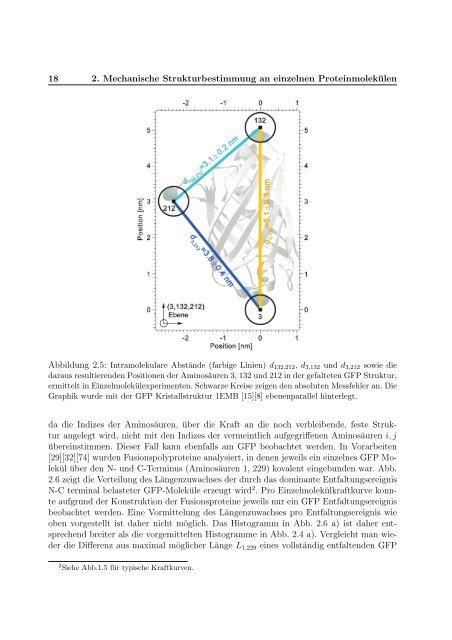 Mechanische Anisotropie von Proteinen in ...