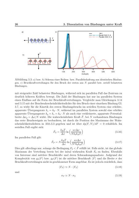 Mechanische Anisotropie von Proteinen in ...