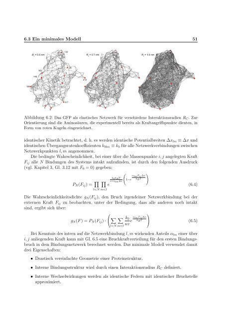 Mechanische Anisotropie von Proteinen in ...