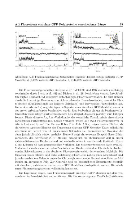 Mechanische Anisotropie von Proteinen in ...