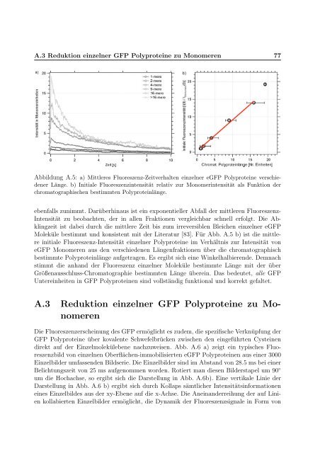 Mechanische Anisotropie von Proteinen in ...