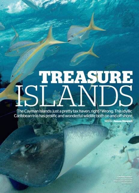 Treasure - Cayman Islands