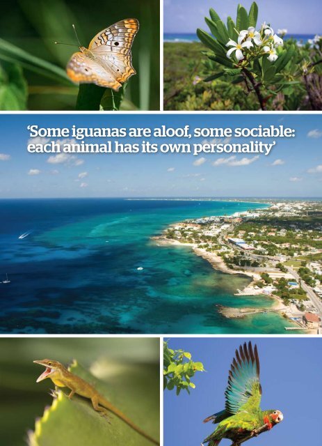 Treasure - Cayman Islands
