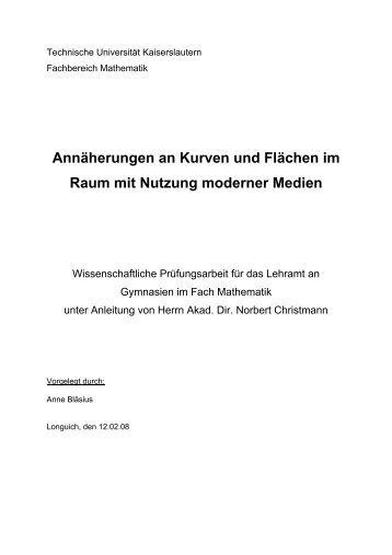 Annäherungen an Kurven und Flächen im Raum ... - Blaesius-anne.de