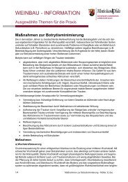 Maßnahmen zur Botrytisminderung.pdf - DLR Rheinhessen-Nahe ...